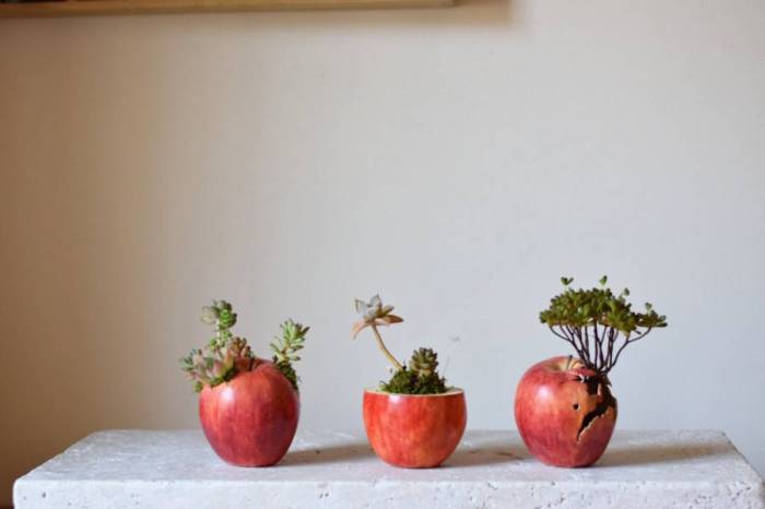 Cute Handmade Japanese Planters – Fubiz Media Cute Handmade Japanese Planters – Fubiz Media
